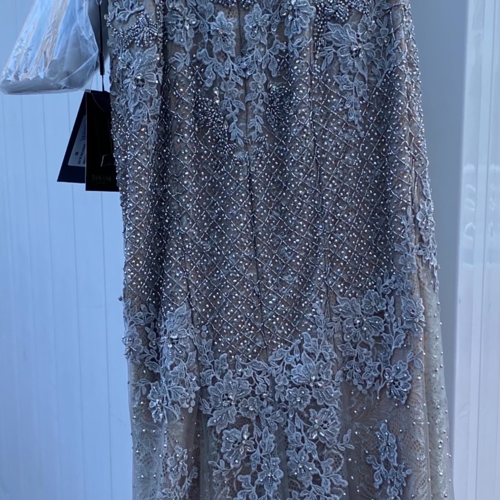 Terani Couture Silver/Nude Beaded Lace Formal - Picture 9 of 16